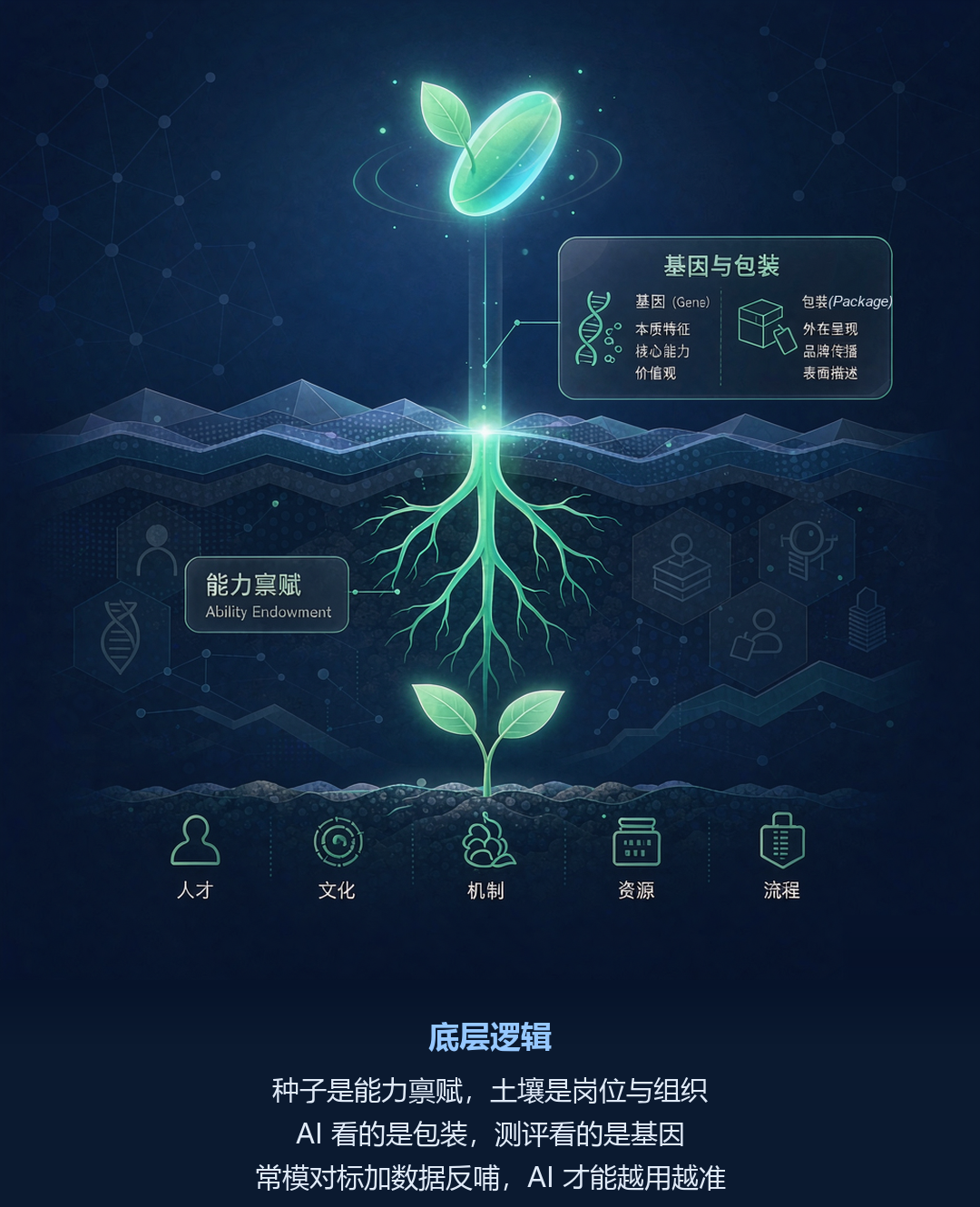 能力禀赋与基因包装的底层逻辑观点图：种子与根系