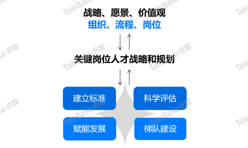 战略组织与关键岗位人才规划框架图