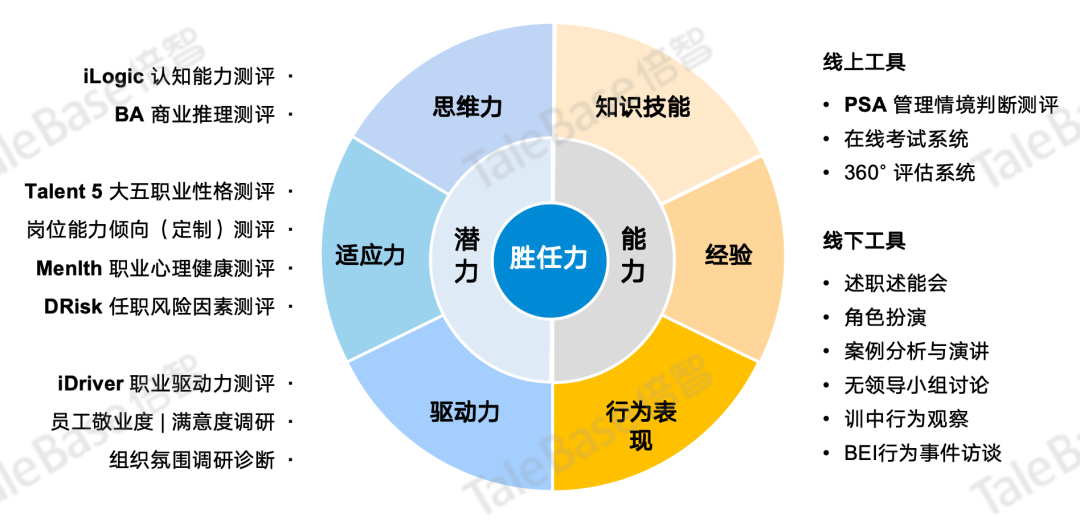 企业人才标准能力模型示意图