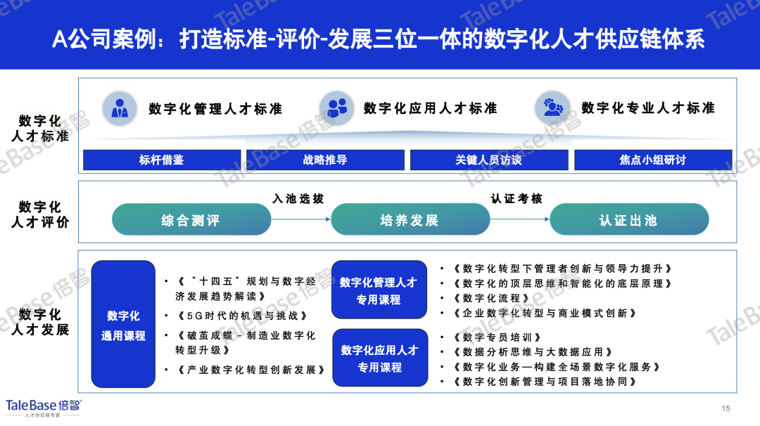 数字化专业人才细分框架图