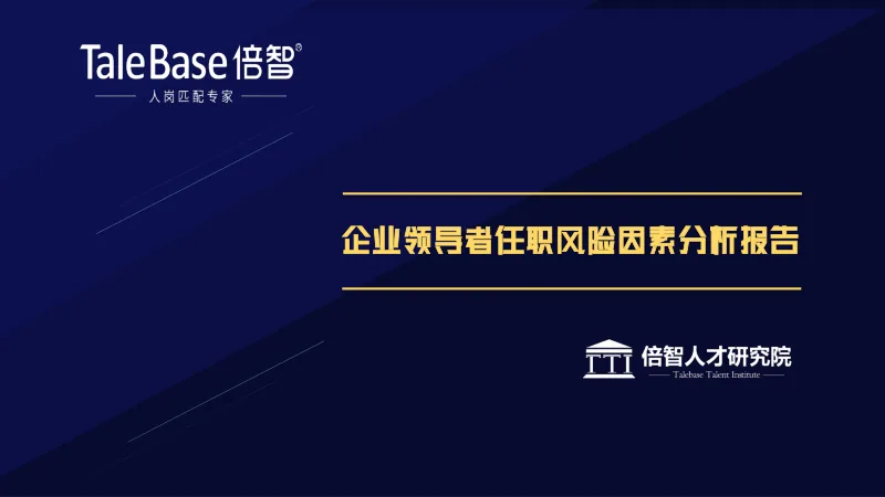 《企业领导者任职风险因素分析报告（2020）》封面